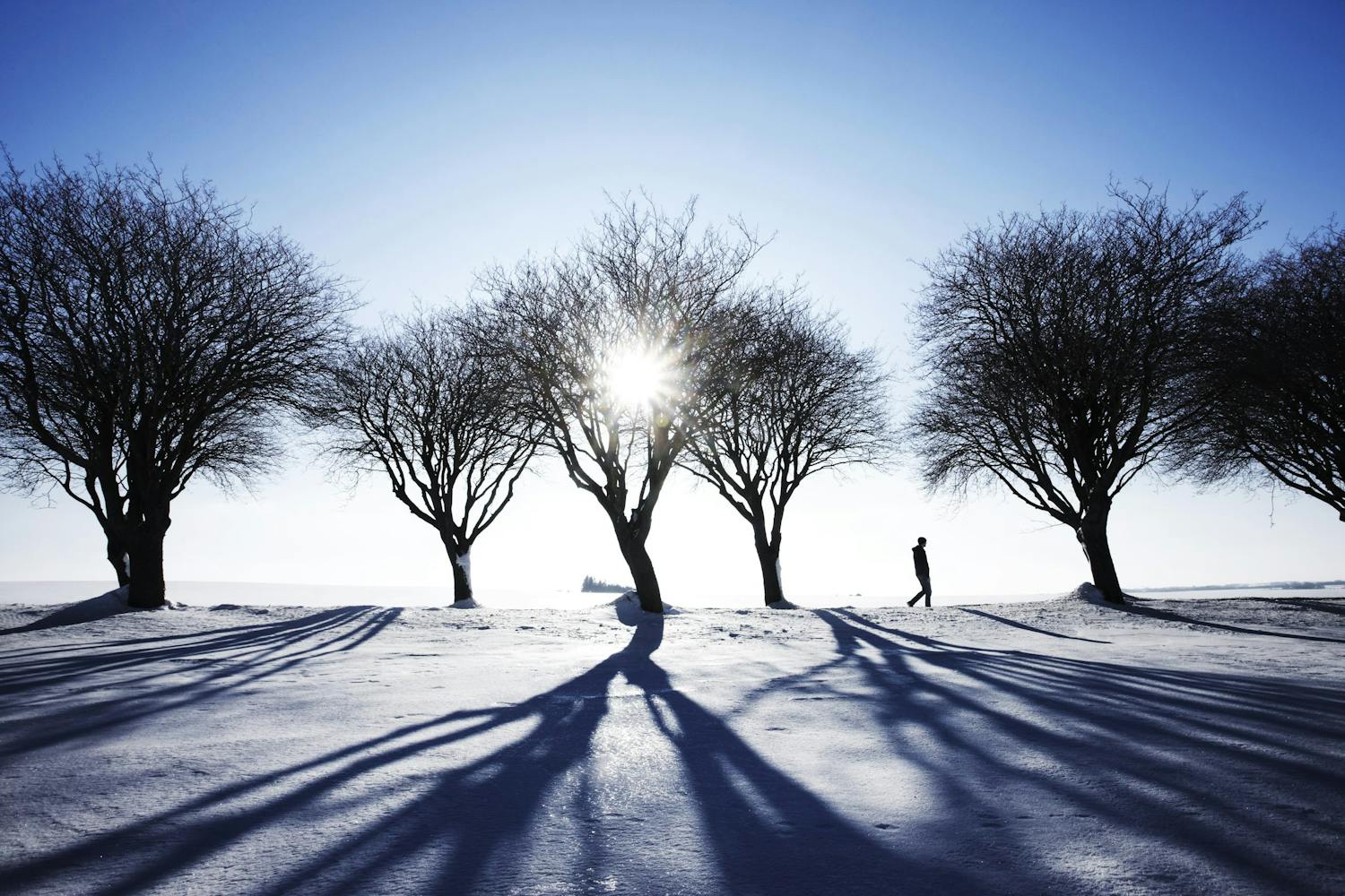 shutterstock 88291030 maisemakuva pitkät varjot